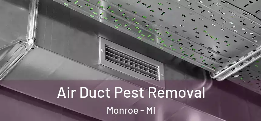  Air Duct Pest Removal Monroe - MI
