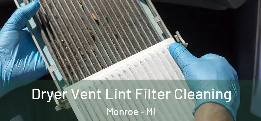  Dryer Vent Lint Filter Cleaning Monroe - MI