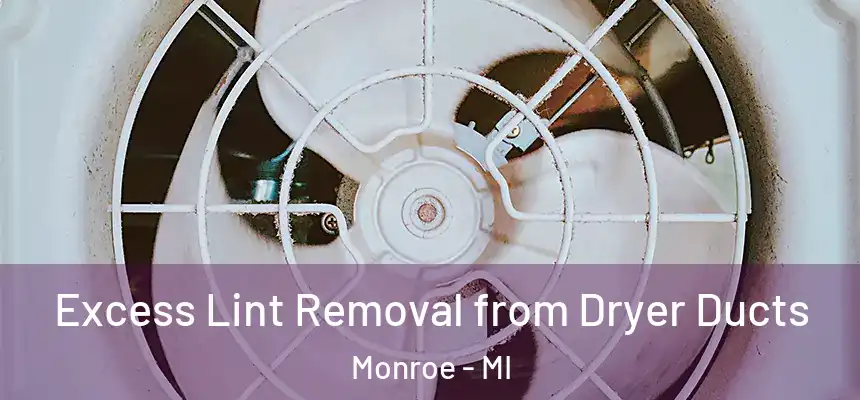 Excess Lint Removal from Dryer Ducts Monroe - MI