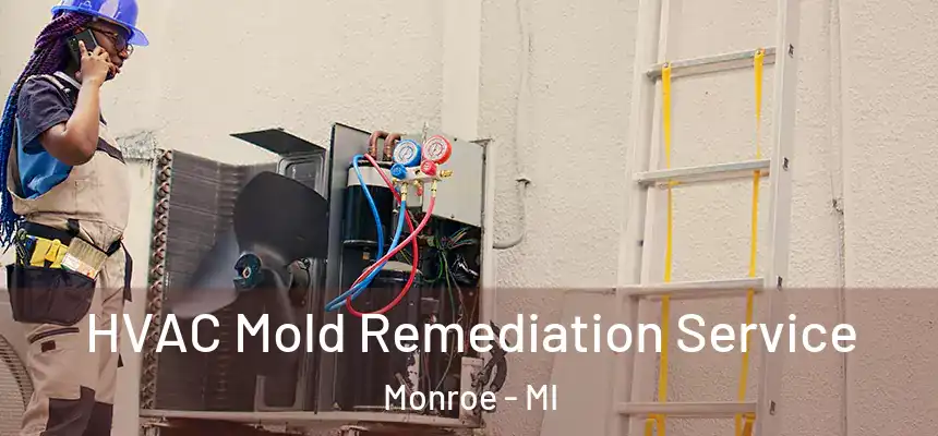  HVAC Mold Remediation Service Monroe - MI
