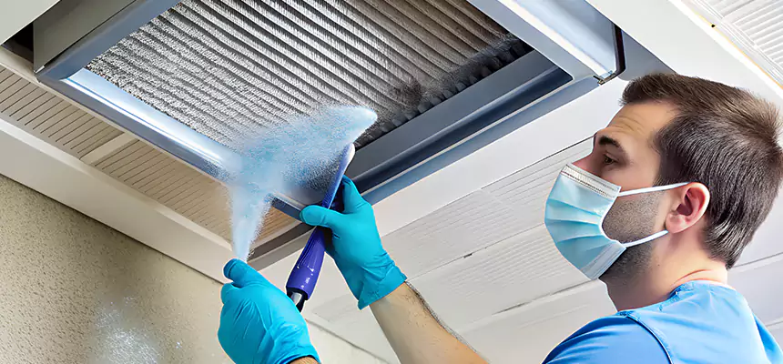 Proactive Dryer Vent & Auxiliary Duct Pollen Cleanup in Monroe, MI