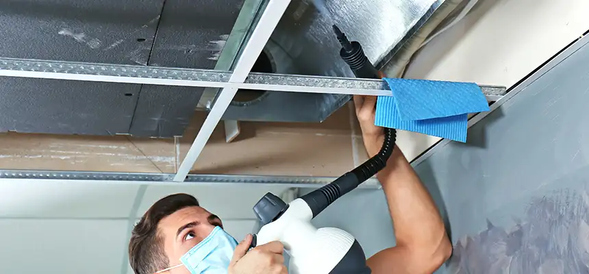 Our Air Duct Rodent Removal Services in Monroe, MI
