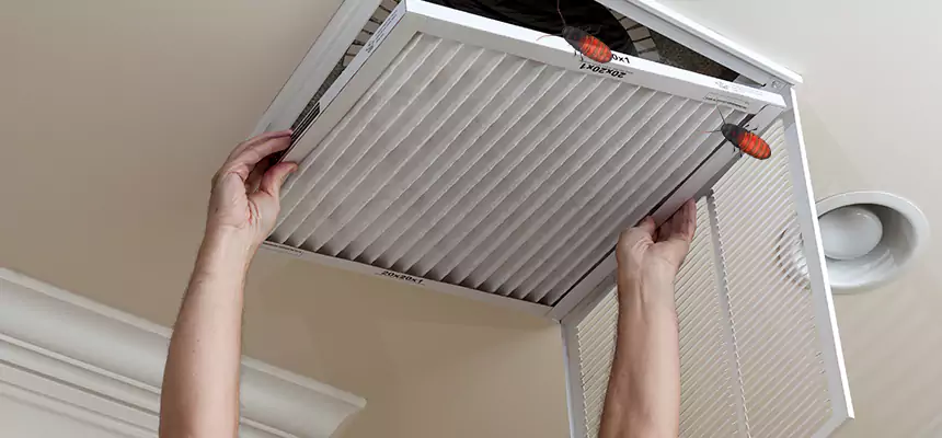 Our Insect Removal from Air Ducts Services in Monroe, MI