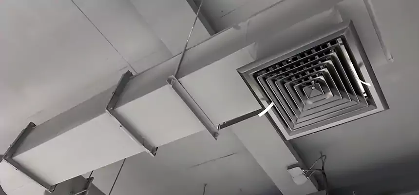 Our Pest Removal From Ducts Services in Monroe, MI