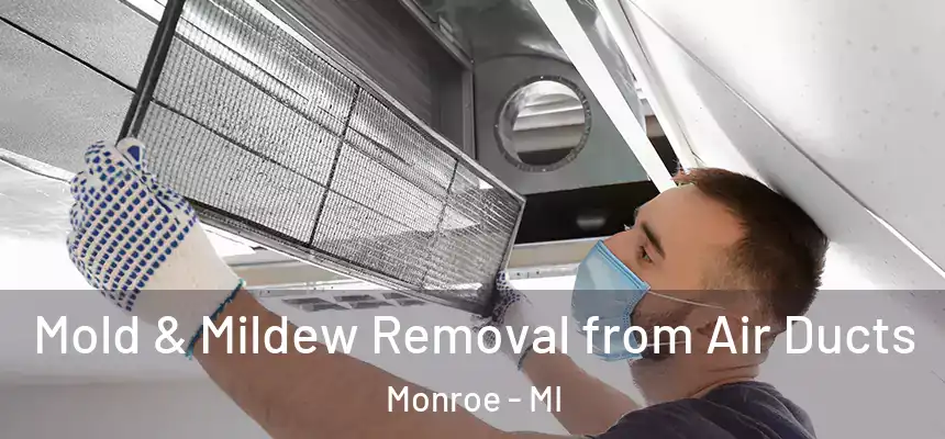  Mold & Mildew Removal from Air Ducts Monroe - MI