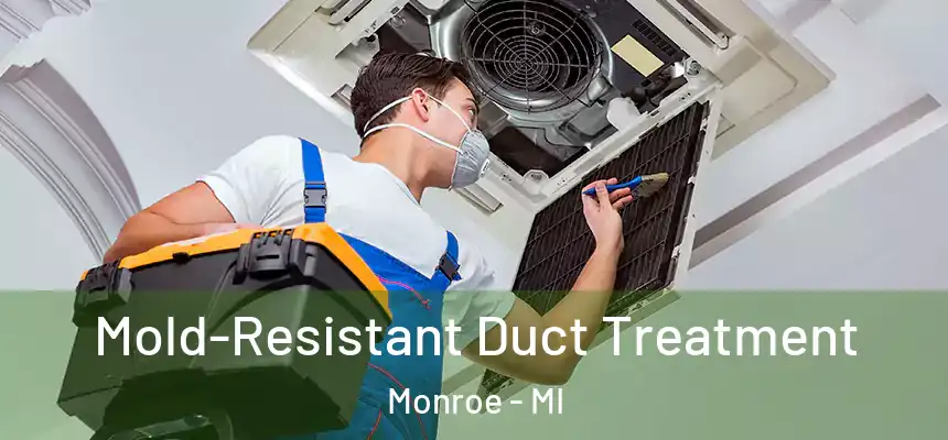  Mold-Resistant Duct Treatment Monroe - MI