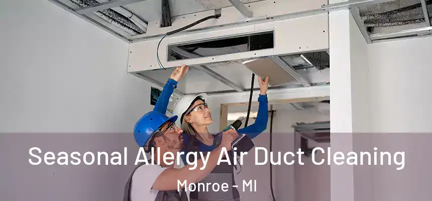  Seasonal Allergy Air Duct Cleaning Monroe - MI