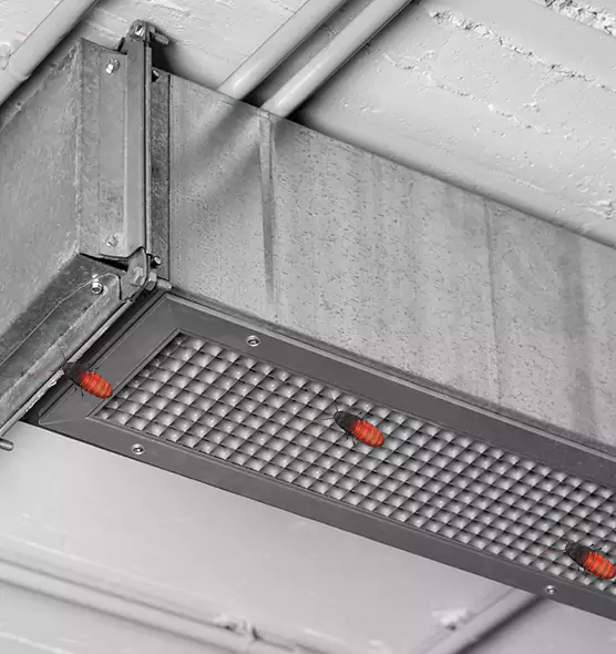 About Air Duct Cockroach Removal in Monroe, MI