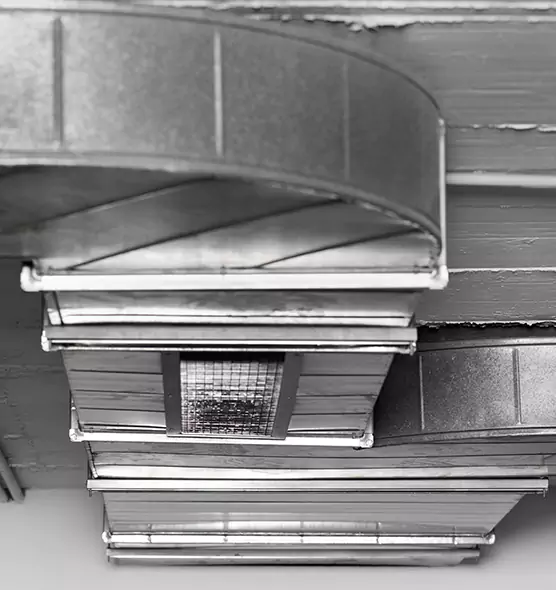 Professional Air Duct Pet Hair Removal in Monroe, MI