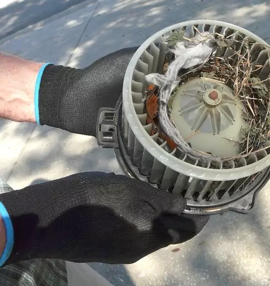 About Air Duct Rat Removal in Monroe, MI