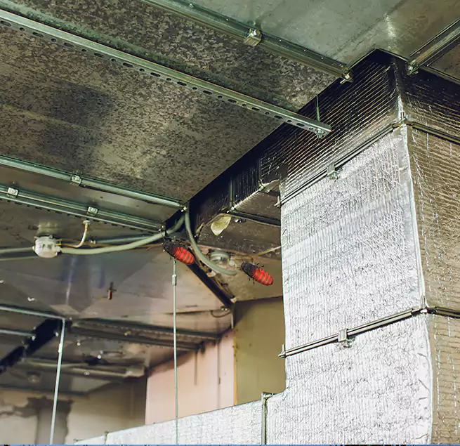 Why Homeowners & Businesses Trust Us Monroe, MI?