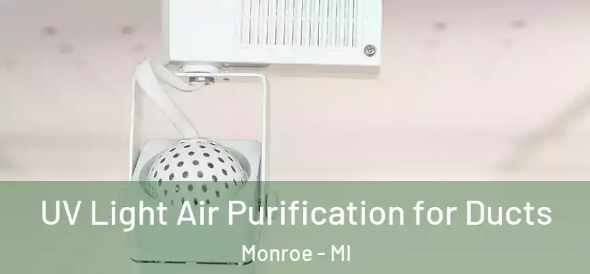  UV Light Air Purification for Ducts Monroe - MI
